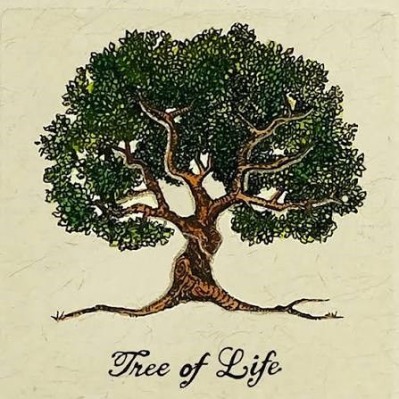 Outreach Group: Trees of Life